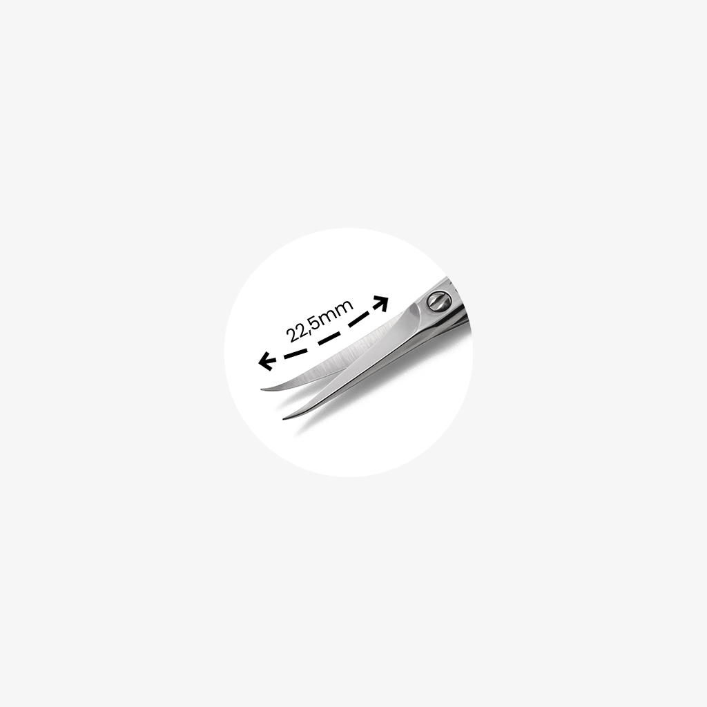 https://dcl.pt/FotosMarketing/PURPLE/P5038_1.png